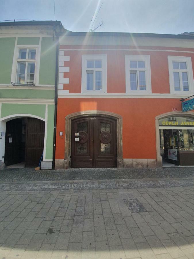 Luxory Apartment The Soul Of City Maribor Ngoại thất bức ảnh